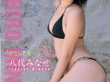 どうしても&hellip;/八代みなせ